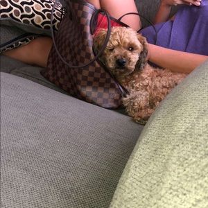 Meet your Posher, Emily